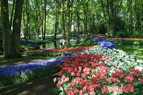 Keukenhof Flower Garden