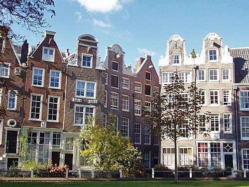 Peaceful Oasis in Bustling Amsterdam