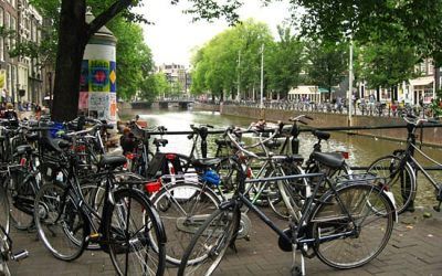 Dutch Bicycle Rules