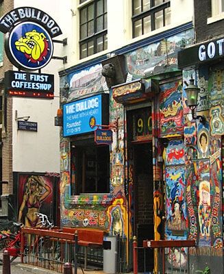 Smoothies Bulldog Coffeeshop : QUITE THE TRIP | czechoutchase - The bulldog is created with the ...