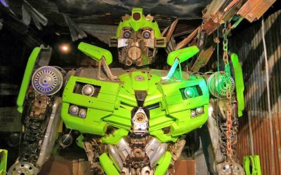 Ripley’s Believe It or Not! Museum Full of Curiosities
