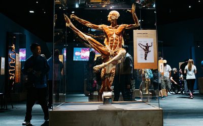Body Worlds Must-see Exhibition in Amsterdam