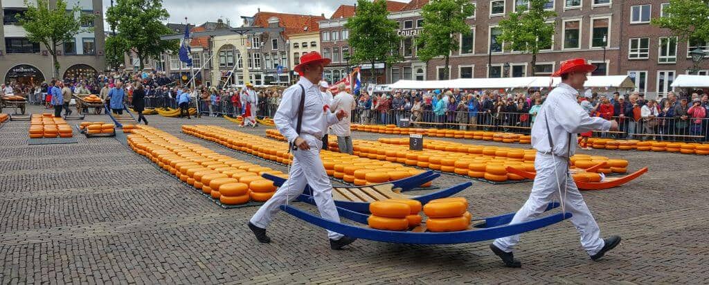 Alkmaar, Cheese and Windmills Tour