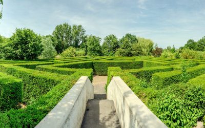 In Search of Labyrinths and Mazes in Amsterdam